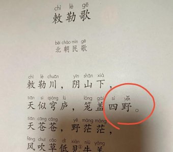 ​“的卢马”读dí还是dì，多数人读错，新教材教你正确读音